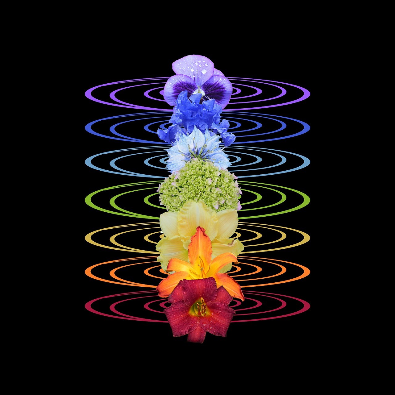 flowers-9193254_1280 flowers-9193254_1280